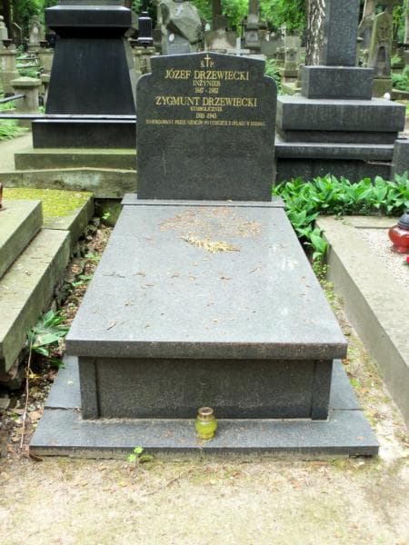 Zdjęcie grobu: Zygmunt Drzewiecki