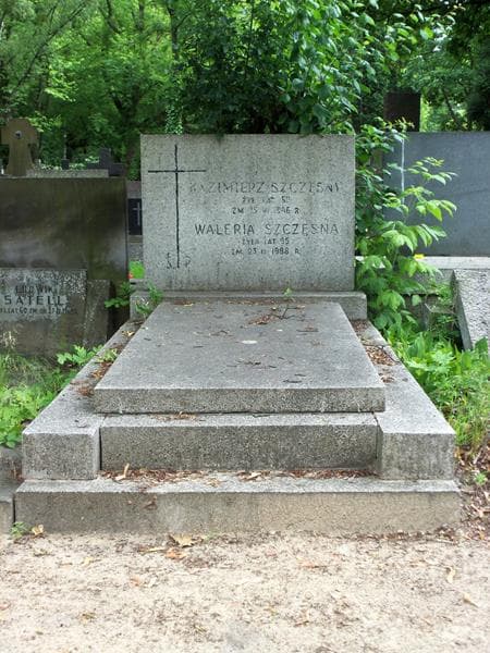 Zdjęcie grobu: Kazimierz Szczęsny