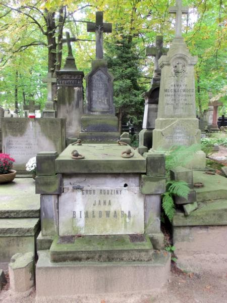 Zdjęcie grobu: Stanisław Białowąs