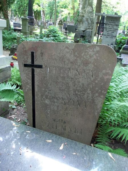 Zdjęcie grobu Zofia Kuleszyna (2)