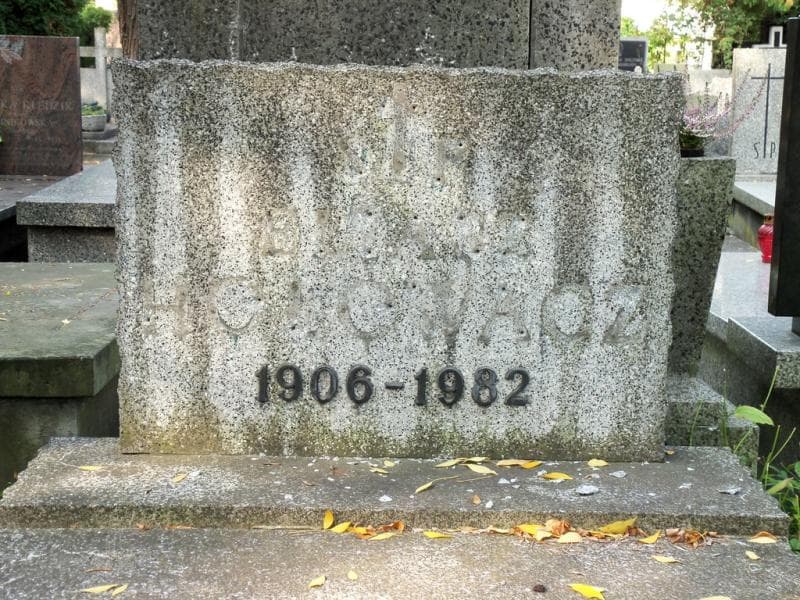Zdjęcie grobu Aleksander Hołow(a)cz (2)
