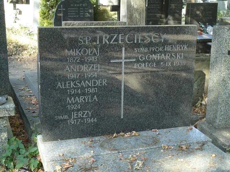 Zdjęcie grobu Henryk Gontarski (2)