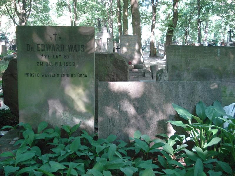 Zdjęcie grobu Karol Wajs (1)