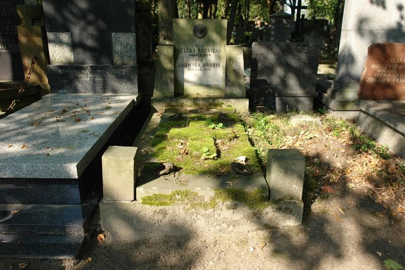 Zdjęcie grobu: Jadwiga Drobik