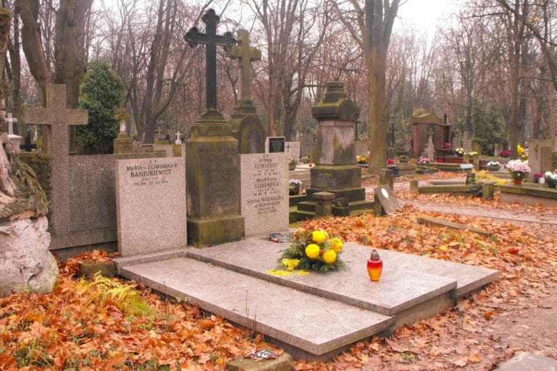 Zdjęcie grobu Władysław Walter (1)