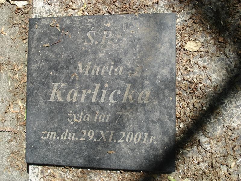 Zdjęcie grobu Marianna Dmochowska (2)