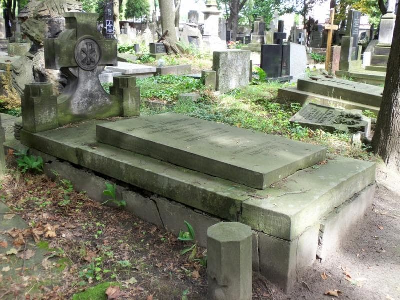 Zdjęcie grobu: Stanisława Miklaszewska