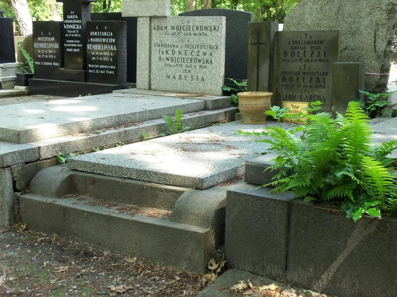 Zdjęcie grobu Władysław Doleżal (1)