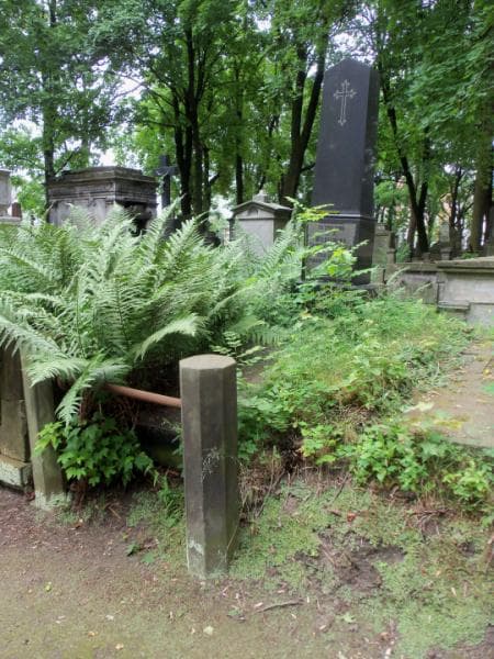 Zdjęcie grobu Wilhelmina Januszewska (1)