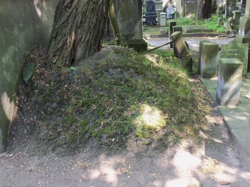 Zdjęcie grobu: Pole Grobowe