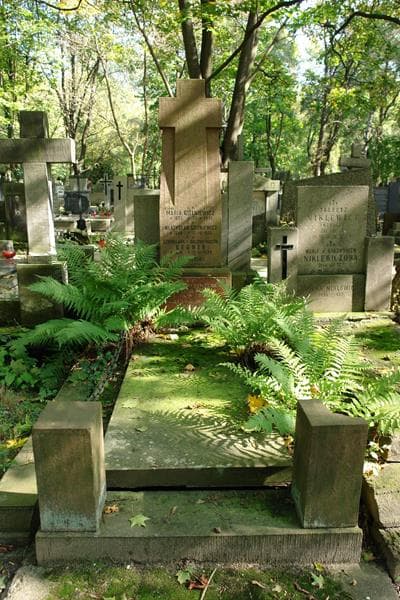 Zdjęcie grobu Władysław Goleniewicz (1)