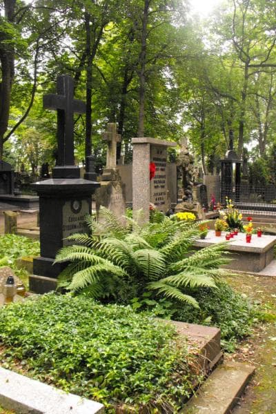 Zdjęcie grobu: Edouard Stourm De Strem