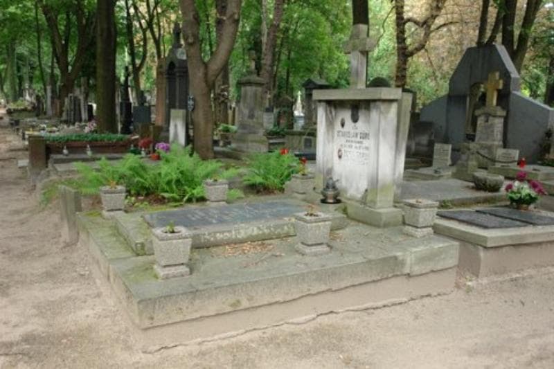 Zdjęcie grobu Zygmunt Górski (1)