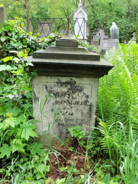 Zdjęcie grobu Józef Dolasiński (1)