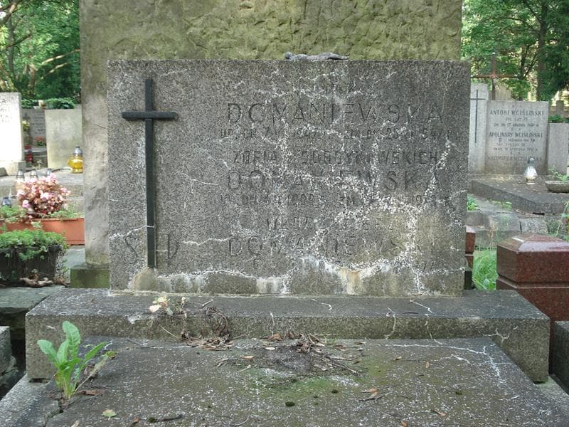 Zdjęcie grobu Zofia Domaniewska (2)