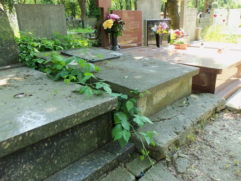 Zdjęcie grobu Halina Jankowska (1)