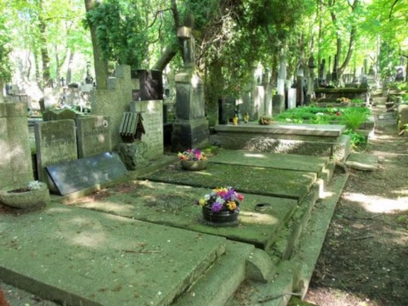 Zdjęcie grobu Bronisław Szmajkowski (1)