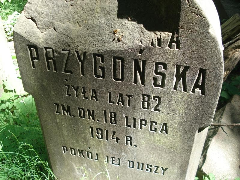Zdjęcie grobu ... Przygońska (2)