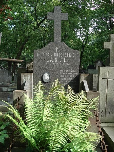 Zdjęcie grobu Wincenta Brochocka (2)
