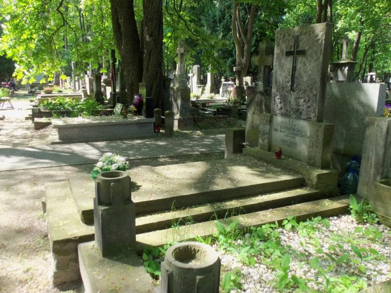 Zdjęcie grobu Lech Guranowski (1)