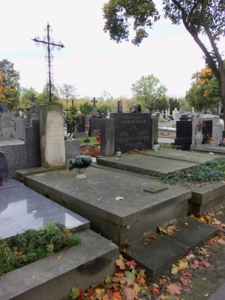 Zdjęcie grobu Andrzej Siciński (1)