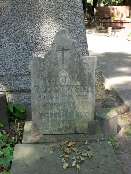Zdjęcie grobu Ludwika Służewska (2)