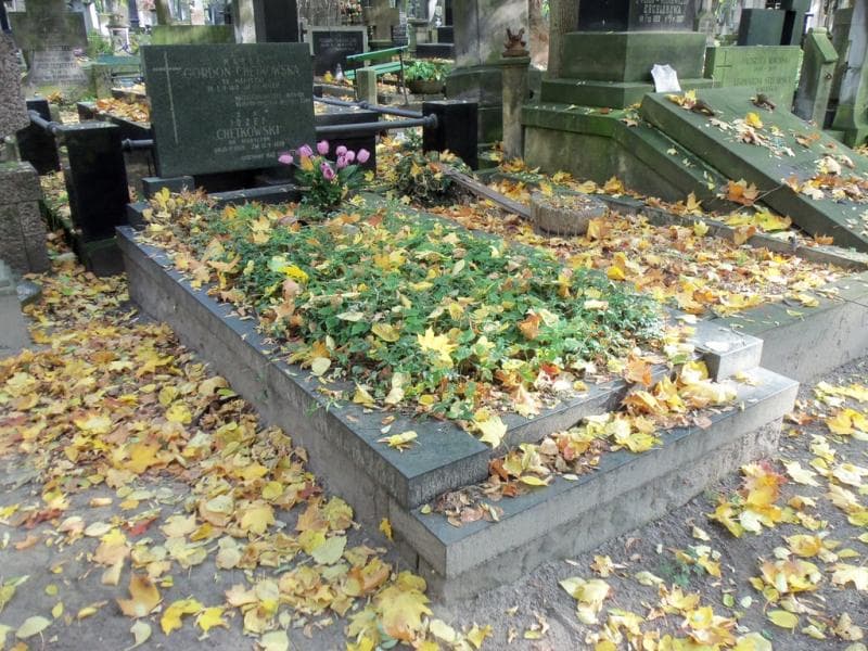 Zdjęcie grobu Józef Chętkowski (1)
