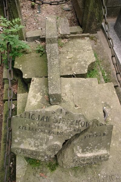 Zdjęcie grobu Zuzanna Sieczkowska (2)