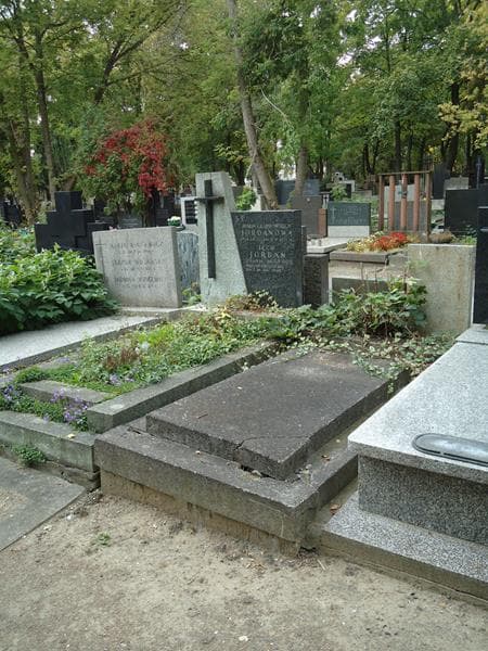 Zdjęcie grobu Franciszek Boehm (1)