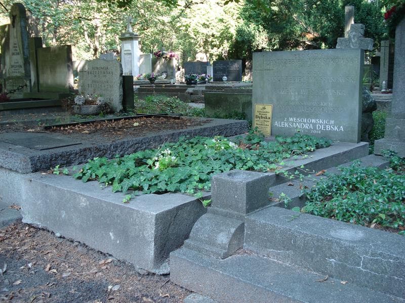 Zdjęcie grobu Leokadia Jastrzębiec-Mossakowska (1)