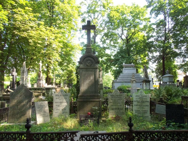 Zdjęcie grobu Wanda Marczewska (2)