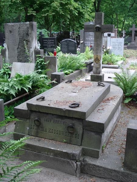 Zdjęcie grobu Leon Kazimierz Troszczyński (1)