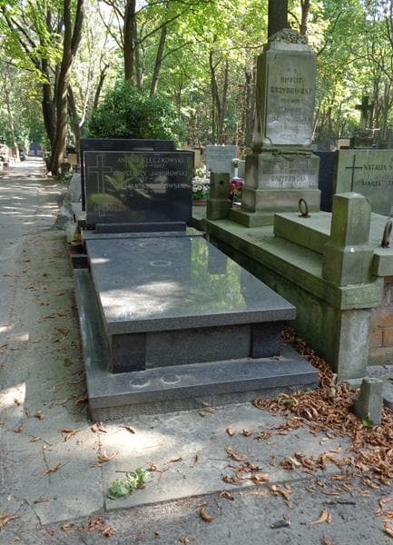 Zdjęcie grobu Konstanty Jaworowski (1)