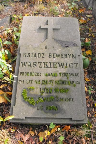 Zdjęcie grobu Seweryn Waszkiewicz (1)