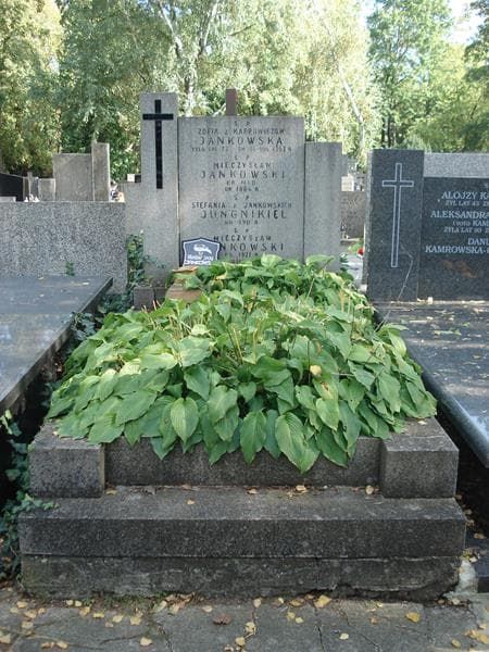 Zdjęcie grobu: Mieczysław Jankowski