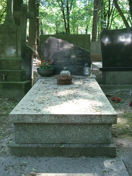 Zdjęcie grobu: Leszek Puławski