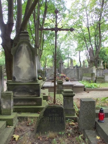 Zdjęcie grobu Ludwika Liemanowa (1)
