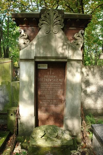 Zdjęcie grobu Piotr Boczkowski (2)
