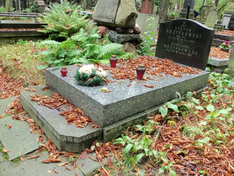 Zdjęcie grobu Stefan Krzypkowski (1)