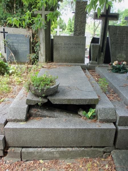 Zdjęcie grobu Zofia Krzyżanowska (1)