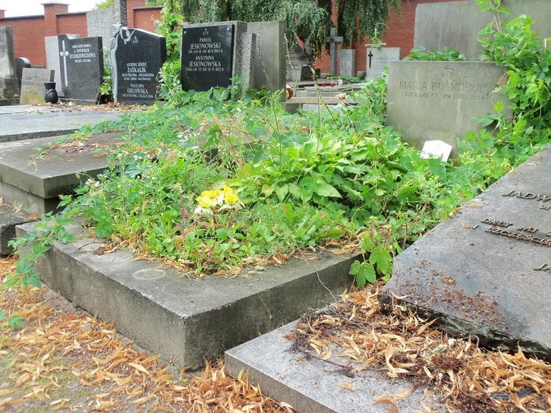 Zdjęcie grobu Maria Buśkiewicz (1)