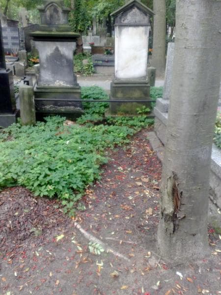 Zdjęcie grobu: Pole Grobowe