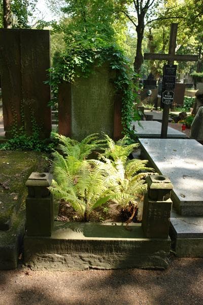 Zdjęcie grobu: Mieczysław Kłossowski