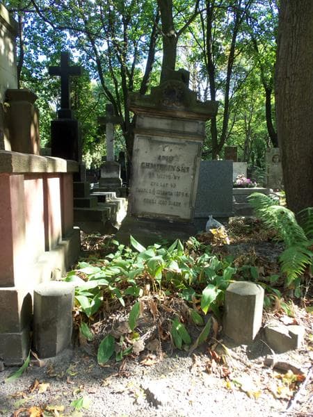 Zdjęcie grobu: Adolf Chmieliński