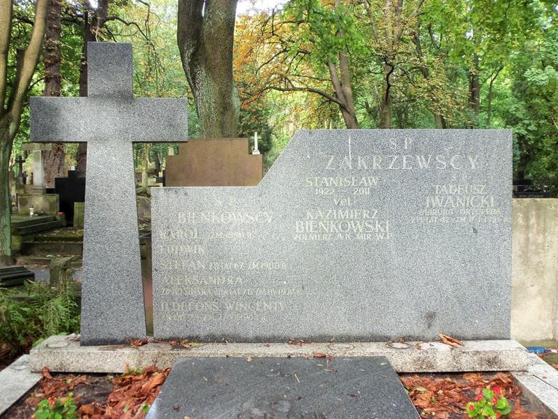 Zdjęcie grobu Tadeusz Iwanicki (2)