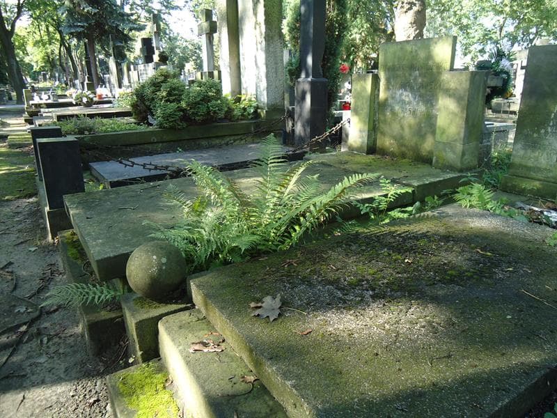 Zdjęcie grobu Stanisław Topor-Krasnopolski (1)