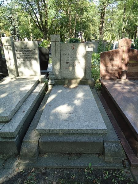 Zdjęcie grobu: Ania Bilewicz