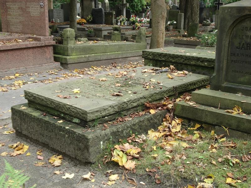 Zdjęcie grobu Józefa Goszcz (2)
