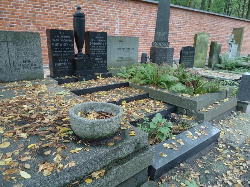 Zdjęcie grobu Czesław Podwiński (1)