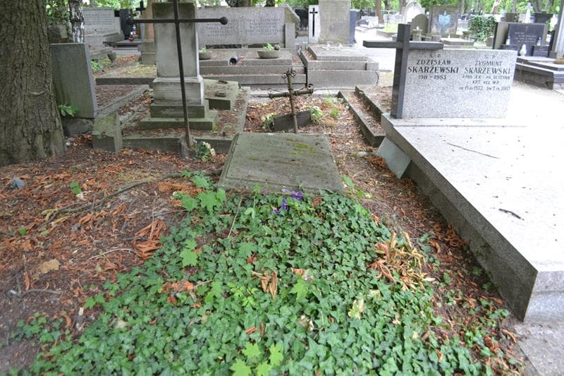 Zdjęcie grobu Bronisław Zawidzki (1)